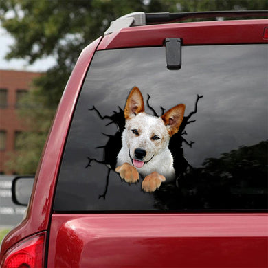 [th1002-snf-tpa]-red-heeler-mix-crack-car-sticker-dogs-lover