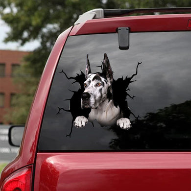 [da0929-snf-tnt]-great-dane-crack-car-sticker-dogs-lover