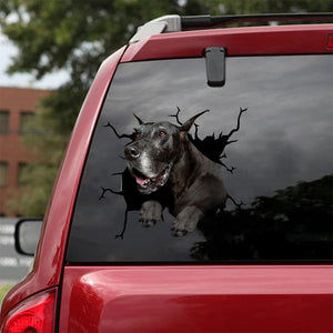 [da0930-snf-tnt]-great-dane-crack-car-sticker-dogs-lover
