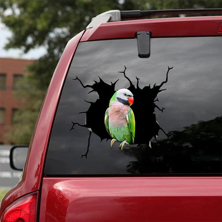[bv0080-snf-tnt]-parrot-crack-car-sticker-parrot-lover