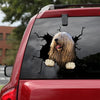 [ld0202-snf-lad]-komondor-crack-car-sticker-dogs-lover