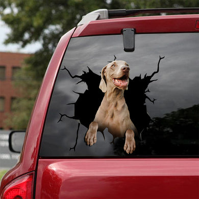 [ld0190-snf-lad]-weimaraner-crack-car-sticker-dogs-lover