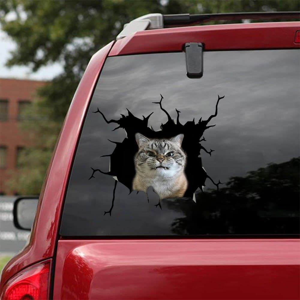 [sk0379-snf-tnt] Funny Cats Crack Car Sticker Cats Lover - Camellia Print