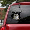 [sk0379-snf-tnt] Funny Cats Crack Car Sticker Cats Lover - Camellia Print