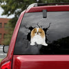 [ld0701-snf-lad]-japanese-chin-crack-car-sticker-dogs-lover