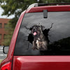 [ld0976-snf-lad]-cottish-terrier-crack-car-sticker-dogs-lover