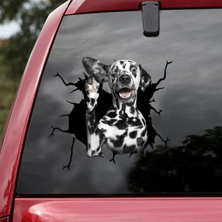 [ld1473-snf-lad]-dalmatians-crack-car-sticker-dogs-lover
