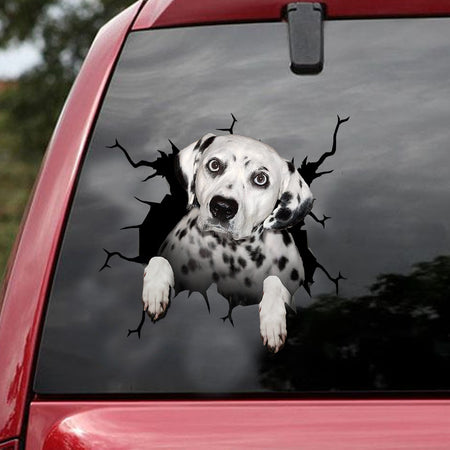 [ld1476-snf-lad]-dalmatians-crack-car-sticker-dogs-lover