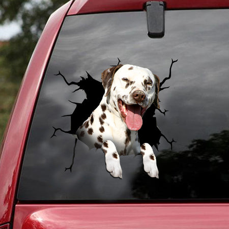 [ld1477-snf-lad]-dalmatians-crack-car-sticker-dogs-lover