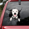 [ld1478-snf-lad]-dalmatians-crack-car-sticker-dogs-lover
