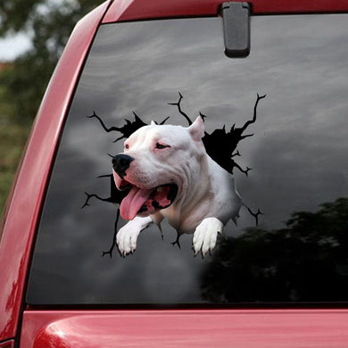 [ld1466-snf-lad]-dogo-argentino-crack-car-sticker-dogs-lover