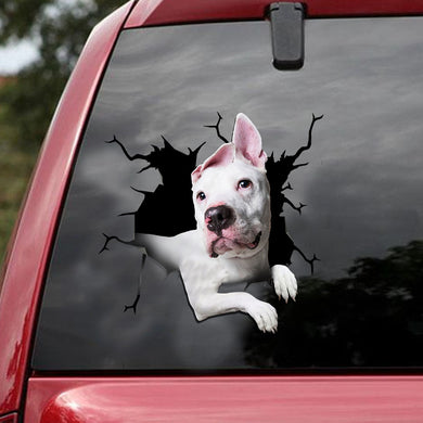 [ld1468-snf-lad]-dogo-argentino-crack-car-sticker-dogs-lover