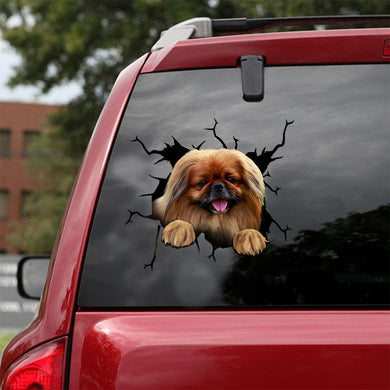 [ld0559-snf-lad]-pekingese-crack-car-sticker-dogs-lover