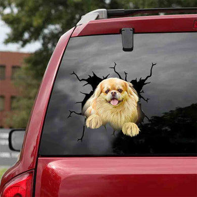 [ld0561-snf-lad]-pekingese-crack-car-sticker-dogs-lover