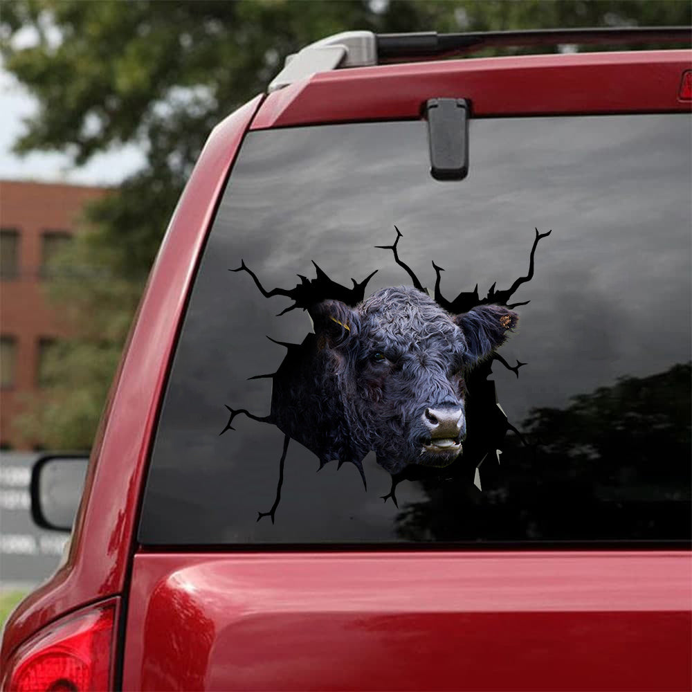 [sk1207-snf-tnt]-belted-galloway-cow-crack-sticker-cattle-lover