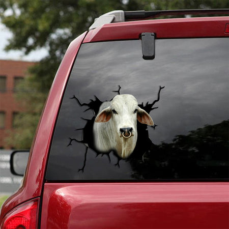 [sk1178-snf-tpa]-brahman-cow-crack-sticker-cattle-lover