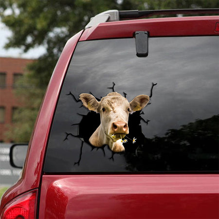 [sk1177-snf-tpa]-cow-crack-sticker-cattle-lover