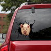 [sk1226-snf-tpa]-laughing-pig-crack-sticker-cattle-lover
