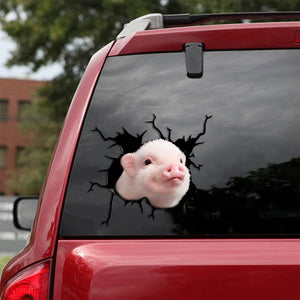 [sk1227-snf-tpa]-mini-pig-friends-crack-sticker-cattle-lover