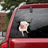 [sk1228-snf-tpa]-mini-pig-friends-crack-sticker-cattle-lover
