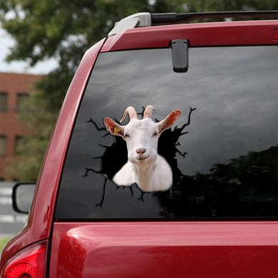 [sk1285-snf-tpa]-white-goat-crack-sticker-cattle-lover