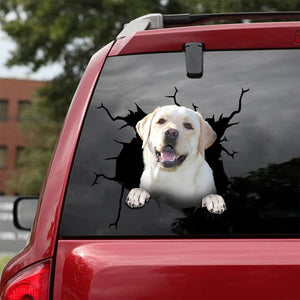 [da0045-snf-tnt]-labrador-crack-car-sticker-dogs-lover