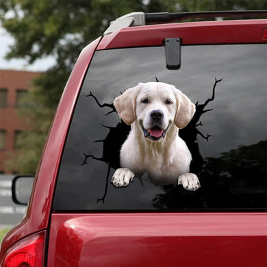 [da0044-snf-tnt]-labrador-crack-car-sticker-dogs-lover