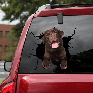 [da0052-snf-tnt]-labrador-crack-car-sticker-dogs-lover