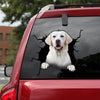 [da0046-snf-tnt]-labrador-crack-car-sticker-dogs-lover