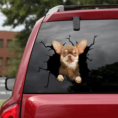 [da0040-snf-tpa]-chihuahua-crack-car-sticker-dogs-lover