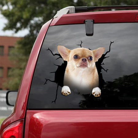[da0038-snf-tpa]-chihuahua-crack-car-sticker-dogs-lover