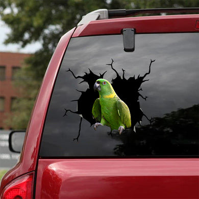 [bv0081-snf-tnt]-parrot-crack-car-sticker-parrot-lover