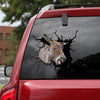 [sk1214-snf-lad]-donkey-crack-sticker-cattle-lover