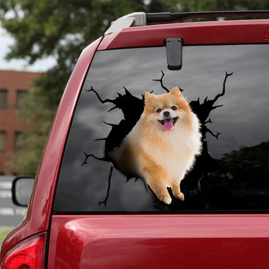 [ld0214-snf-lad]-pomeranian-crack-car-sticker-dogs-lover