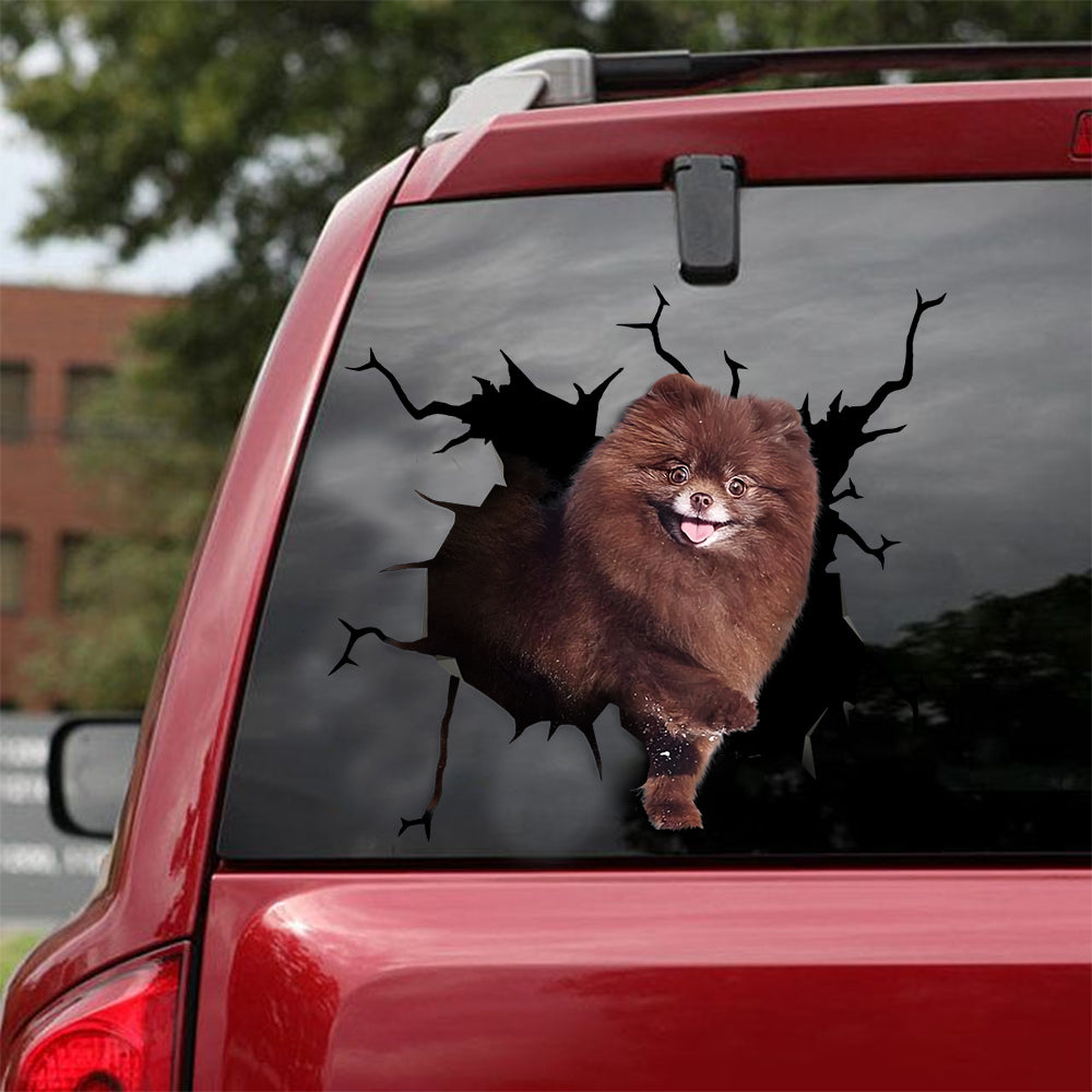 [ld0215-snf-lad]-pomeranian-crack-car-sticker-dogs-lover