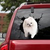 [ld0216-snf-lad]-pomeranian-crack-car-sticker-dogs-lover