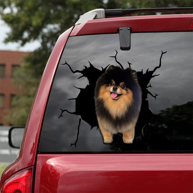 [ld0219-snf-lad]-pomeranian-crack-car-sticker-dogs-lover