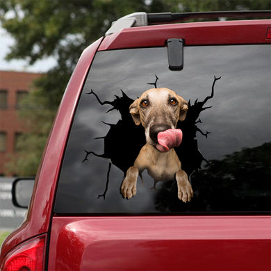 [ld0235-snf-lad]-greyhounds-crack-car-sticker-dogs-lover