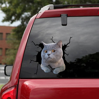 [sk1401-snf-tpa]-british-shorthair-crack-sticker-cats-lover