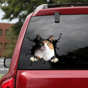 [sk1595-snf-tpa]-calico-cat-crack-car-sticker-cats-lover