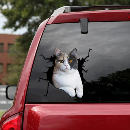 [sk1594-snf-tpa]-calico-cat-crack-car-sticker-cats-lover