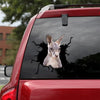 [sk1949-snf-tpa]-kangaroo-crack-car-sticker-animals-lover