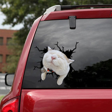 [sk1392-snf-tpa]-turkish-van-crack-sticker-cats-lover