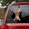 [da0066-snf-tnt]-chihuahua-crack-car-sticker-dogs-lover