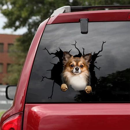 [da0057-snf-tnt]-chihuahua-crack-car-sticker-dogs-lover