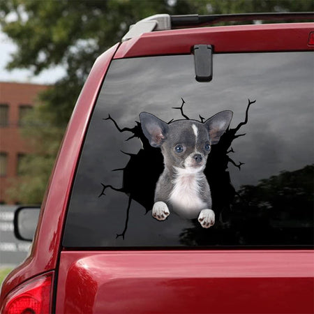 [da0056-snf-tnt]-chihuahua-crack-car-sticker-dogs-lover
