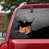 [th0117-snf-tpa]-bengal-cat-crack-car-sticker-cats-lover