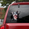 [th0109-snf-tpa]-french-bulldog-crack-car-sticker-dogs-lover