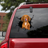 [th0571-snf-tpa]-dachshund-crack-car-sticker-dogs-lover
