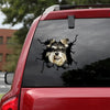 [th0578-snf-tpa]-schnauzer-crack-car-sticker-dogs-lover